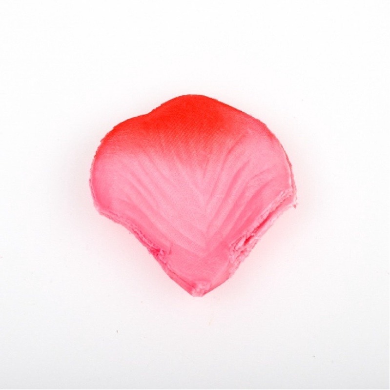 6.玫紅漸變（100片）