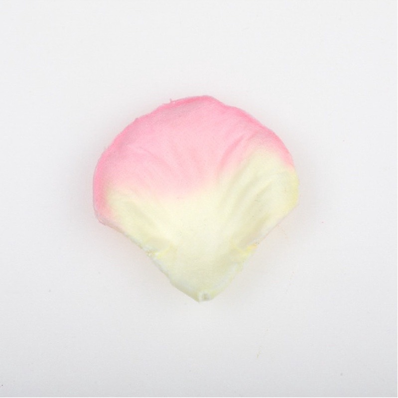 17.粉色+香檳（100片）