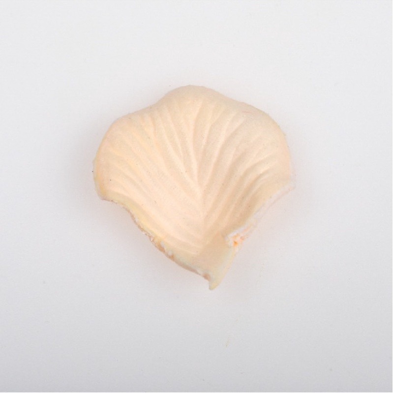 22.香檳（100片）