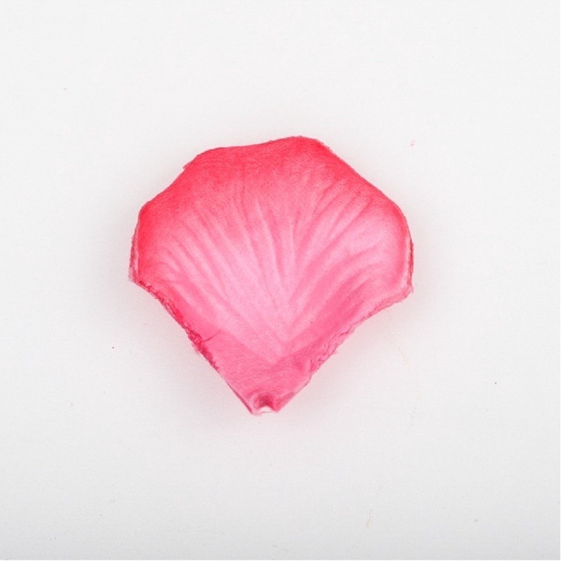 9.桃紅漸變（100片）