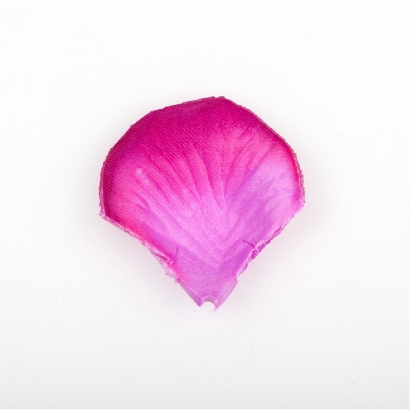 【台灣現貨】仿真玫瑰花瓣/人造花瓣/求婚/婚禮/生日派對/情人節/婚紗攝影/告白 | A&E 手作坊-規格圖5