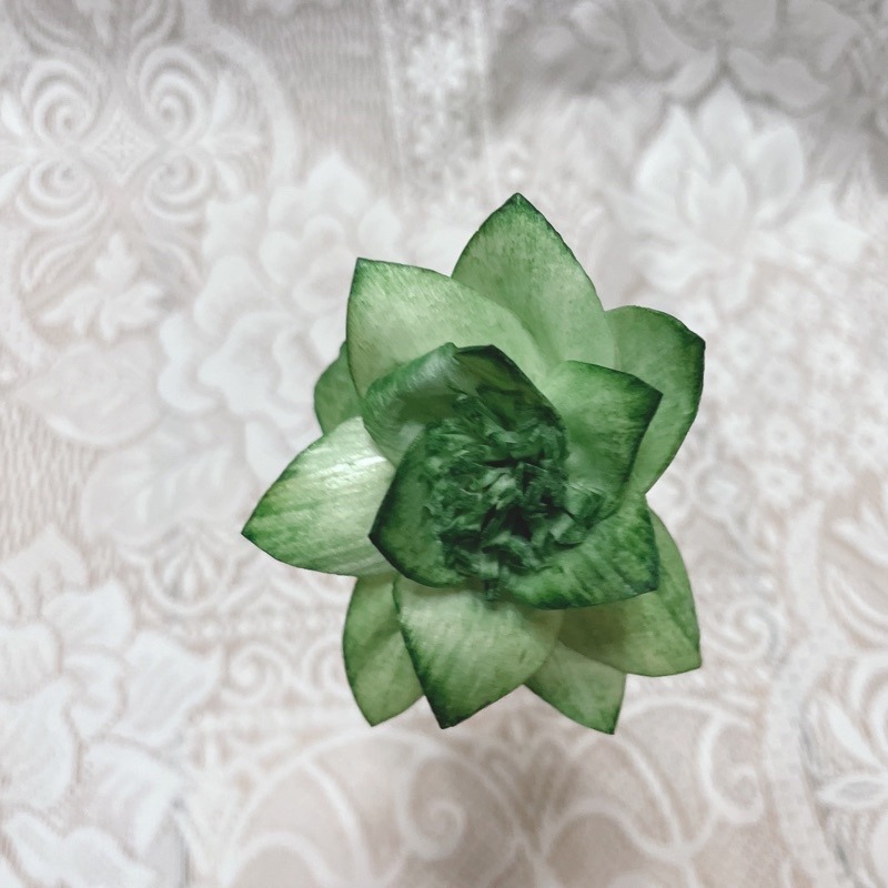 [水仙花]索拉花 8 cm /乾燥花/永生花/花材/擴香花/裝飾/捧花 | A&E 手作坊-規格圖1