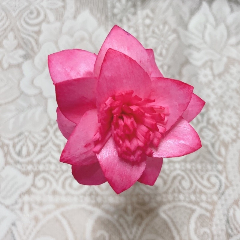 18.粉紅