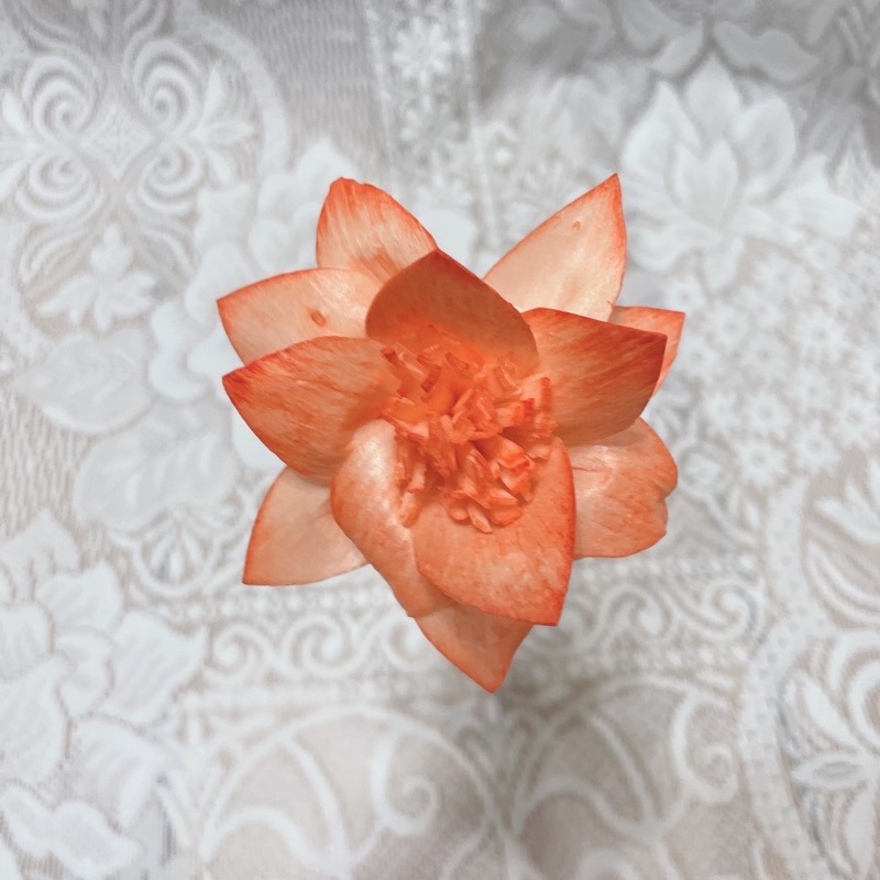 [水仙花]索拉花 8 cm /乾燥花/永生花/花材/擴香花 | A&E 手作坊-規格圖1