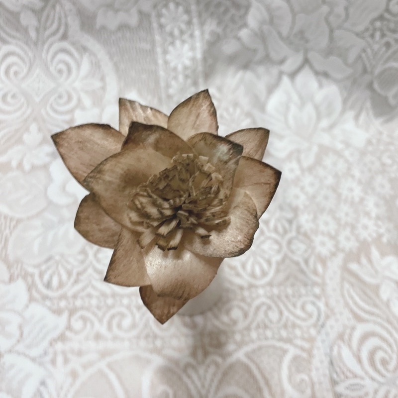 [水仙花]索拉花 8 cm /乾燥花/永生花/花材/擴香花 | A&E 手作坊-規格圖1