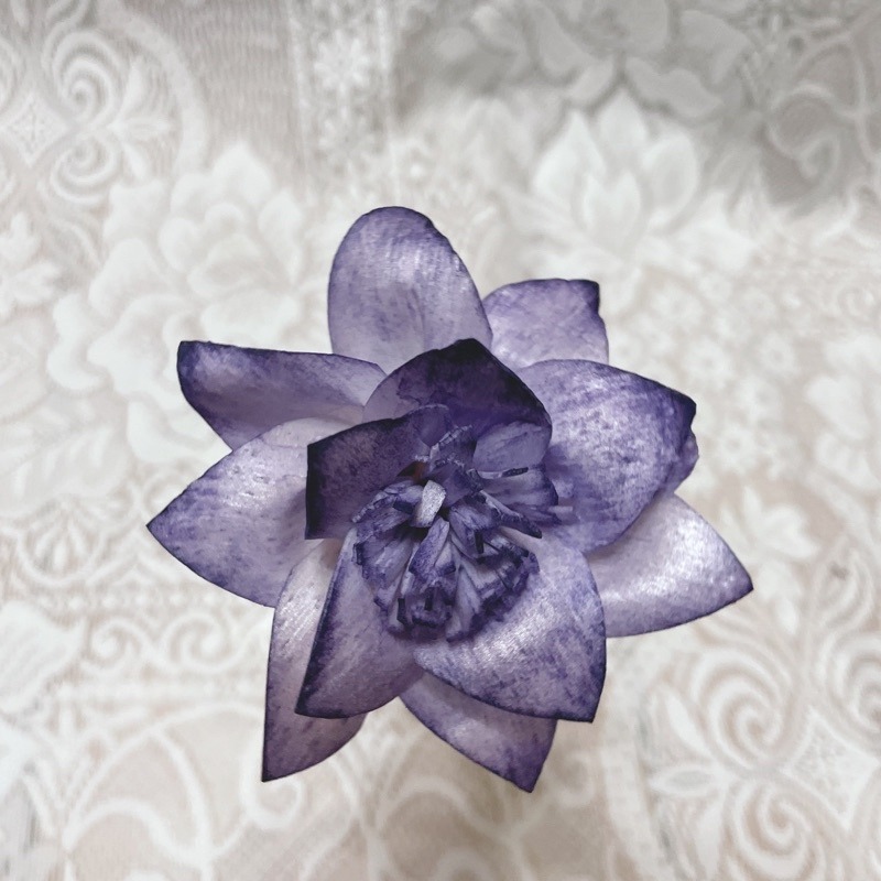 [水仙花]索拉花 8 cm /乾燥花/永生花/花材/擴香花 | A&E 手作坊-規格圖1