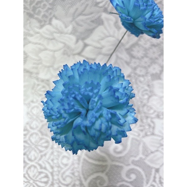 [康乃馨]索拉花 4.5cm / 6 cm /母親節/乾燥花/永生花/花材/擴香花 | A&E 手作坊-規格圖3
