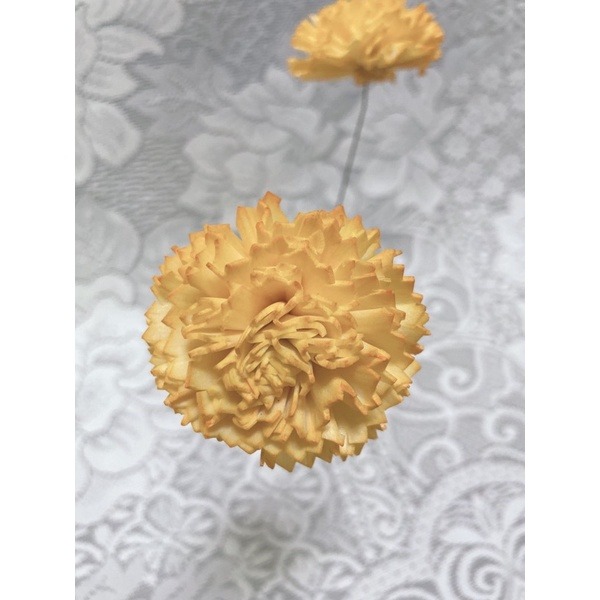[康乃馨]索拉花 4.5cm / 6 cm /母親節/乾燥花/永生花/花材/擴香花 | A&E 手作坊-規格圖3