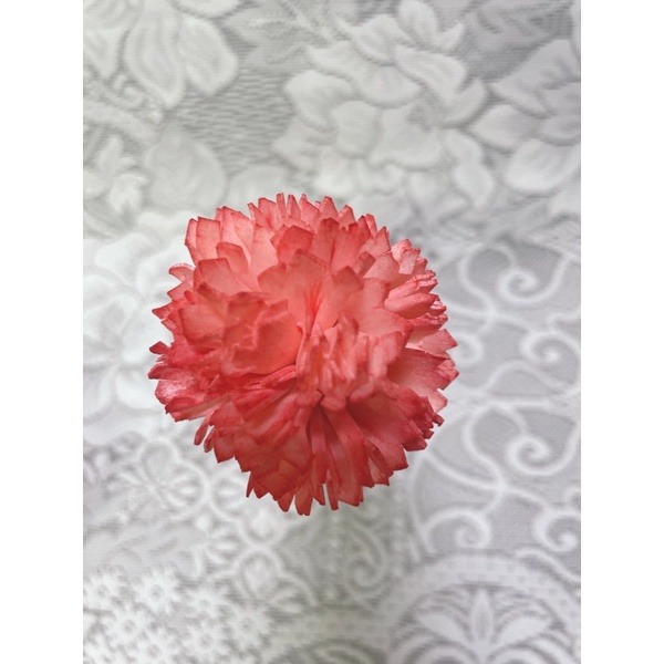[康乃馨]索拉花 4.5cm / 6 cm /母親節/乾燥花/永生花/花材/擴香花 | A&E 手作坊-規格圖3