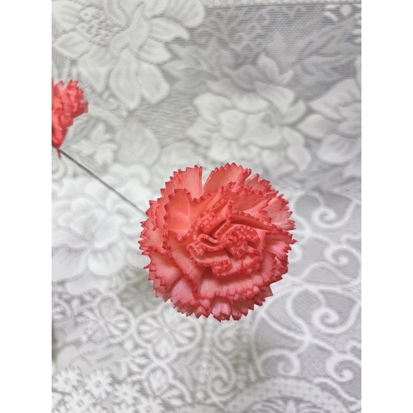 [大康乃馨]索拉花 8cm / 10cm /母親節/乾燥花/永生花/花材/擴香花 | A&E 手作坊-規格圖3