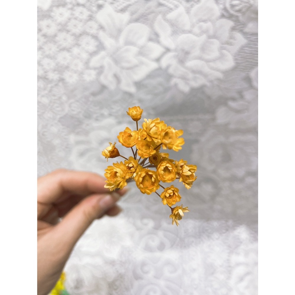 小星花 20朵 / 永生花 / 永生花材 / 乾燥花材 /  DIY | A&E 手作坊-規格圖1