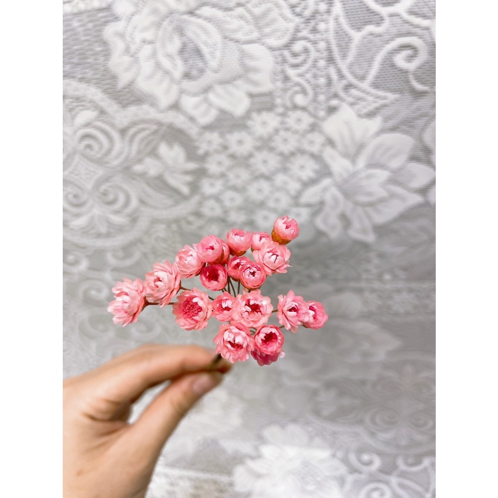 小星花 20朵 / 永生花 / 永生花材 / 乾燥花材 /  DIY | A&E 手作坊-規格圖1