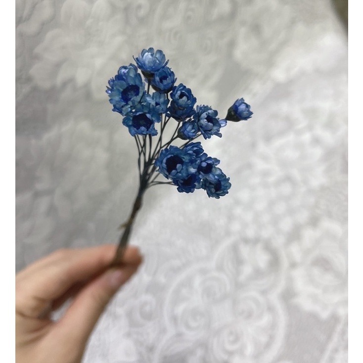 小星花 20朵 / 永生花 / 永生花材 / 乾燥花材 /  DIY | A&E 手作坊-規格圖1