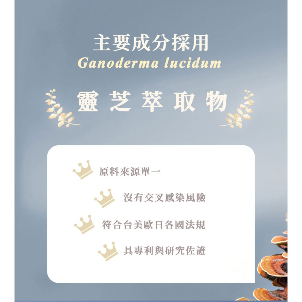 Ev-Energy 小泌素活力精華錠 靈芝萃取物 綜合維生素B群 維他命B 靈芝多醣體-細節圖4