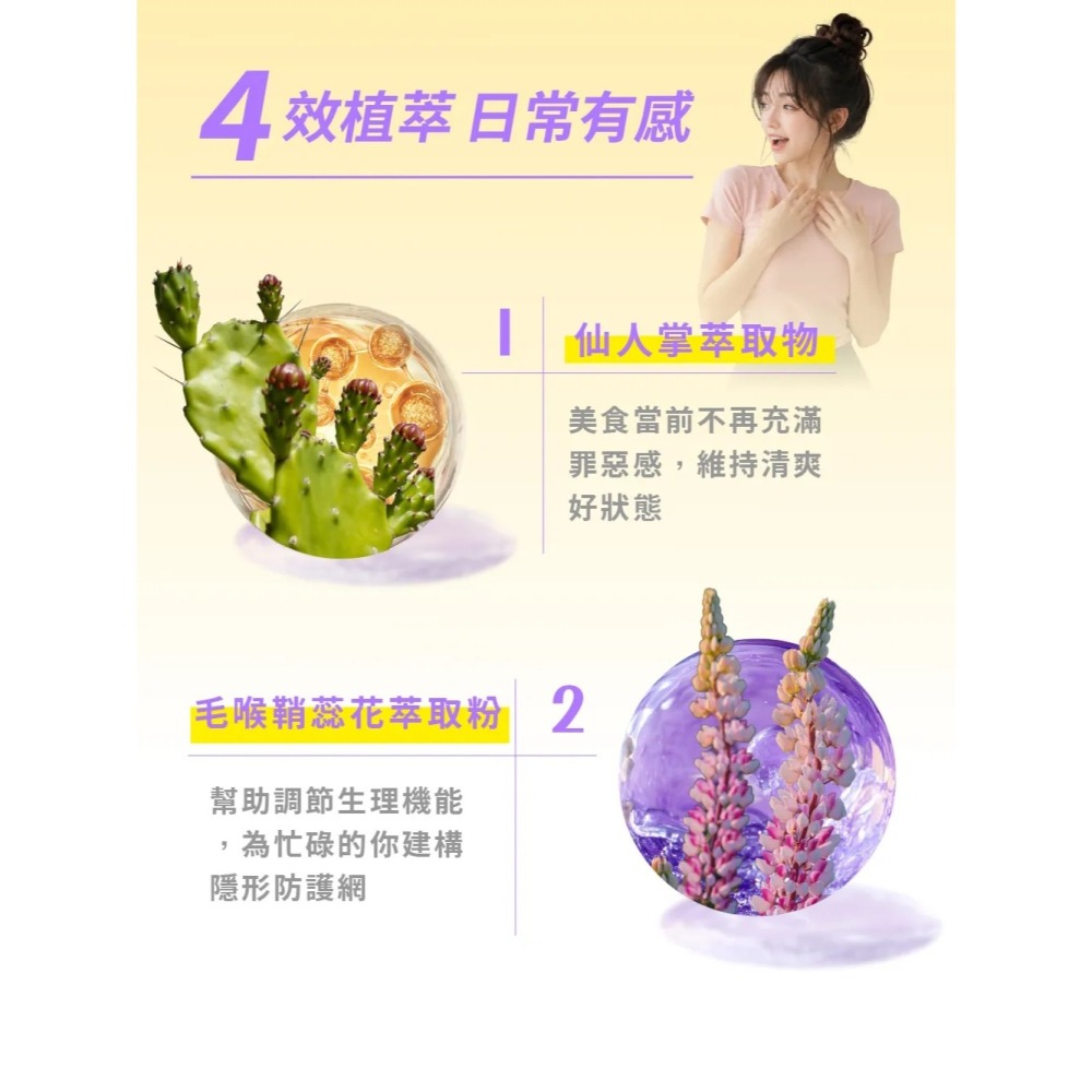 【悠樂康】升級版 7D筆尼受 plus 網路好評價推薦 山苦瓜胜肽 蒟蒻 毛喉鞘蕊花萃取 馬卡-細節圖6