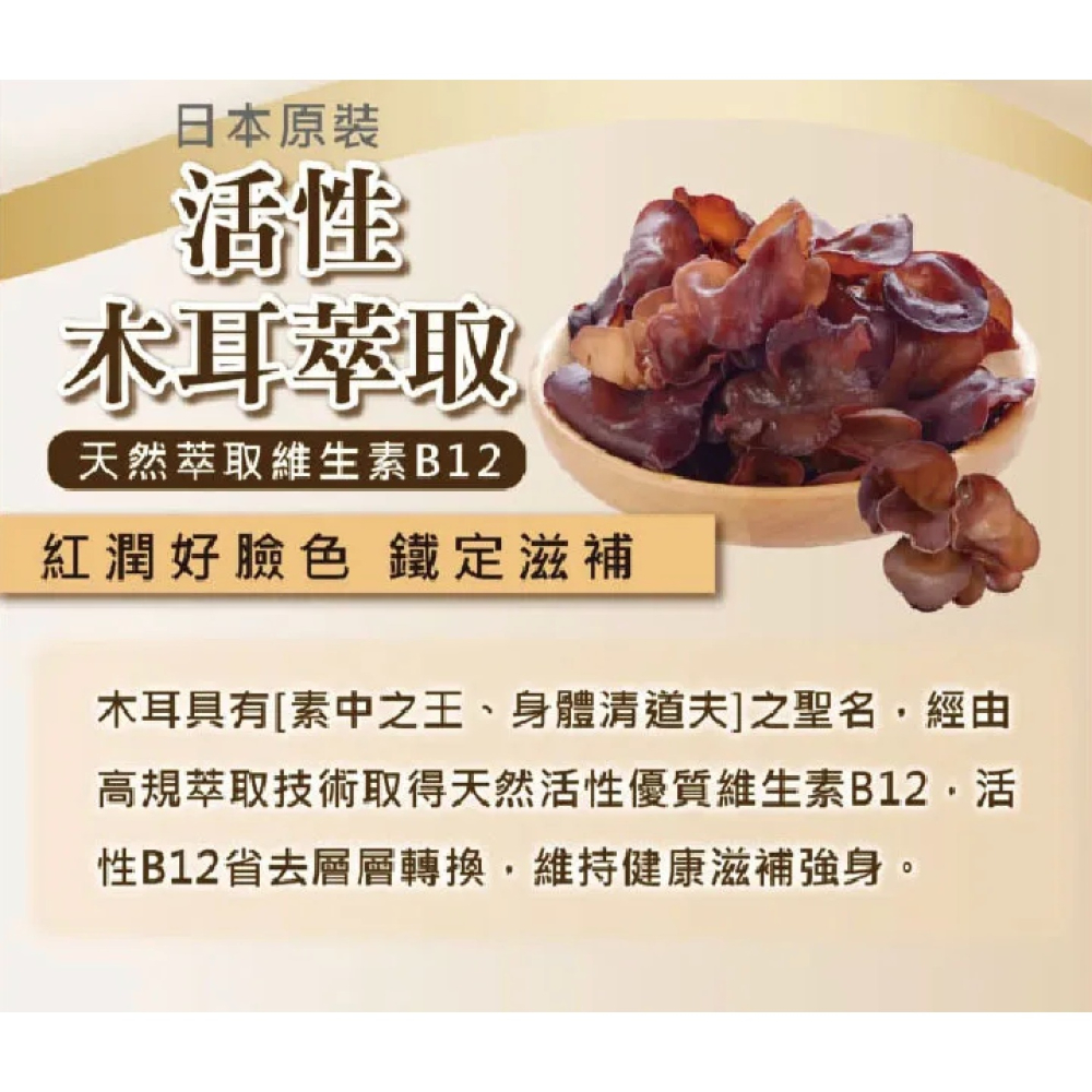 日本原裝 悠樂康 全效B群 EX Plus (粉光蔘添加) ➜ 高單位維他命B1 B2 元氣維持 營養補給-細節圖3