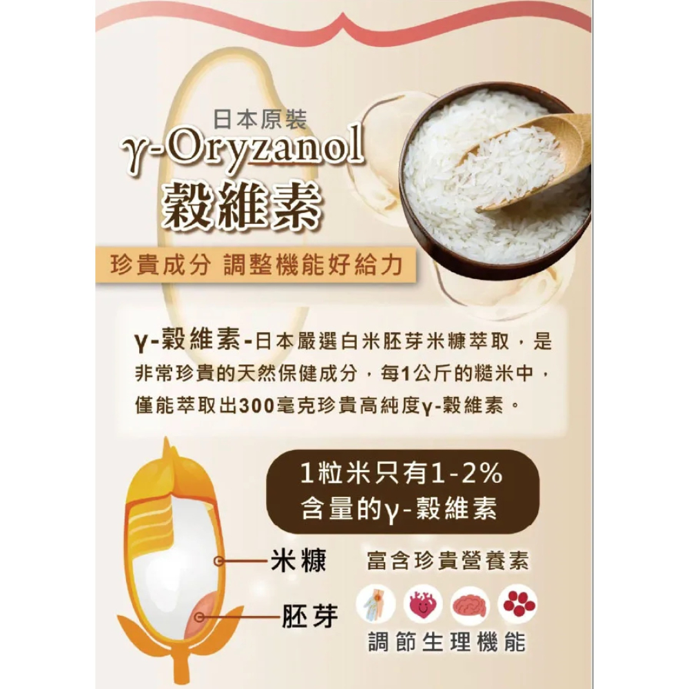 日本原裝 悠樂康 全效B群 EX Plus (粉光蔘添加) ➜ 高單位維他命B1 B2 元氣維持 營養補給-細節圖6