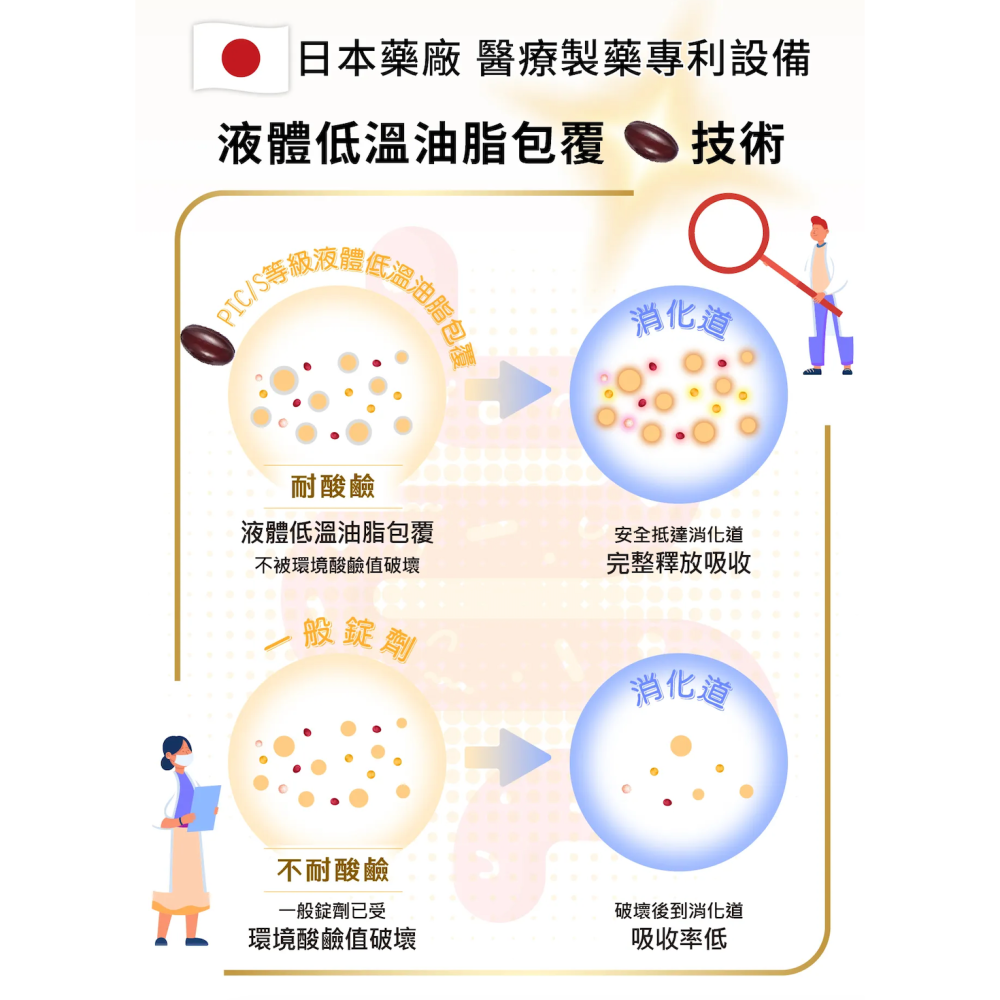 日本原裝 芳香園 納豆激酶 高活性納豆激酶 保健食品-細節圖7