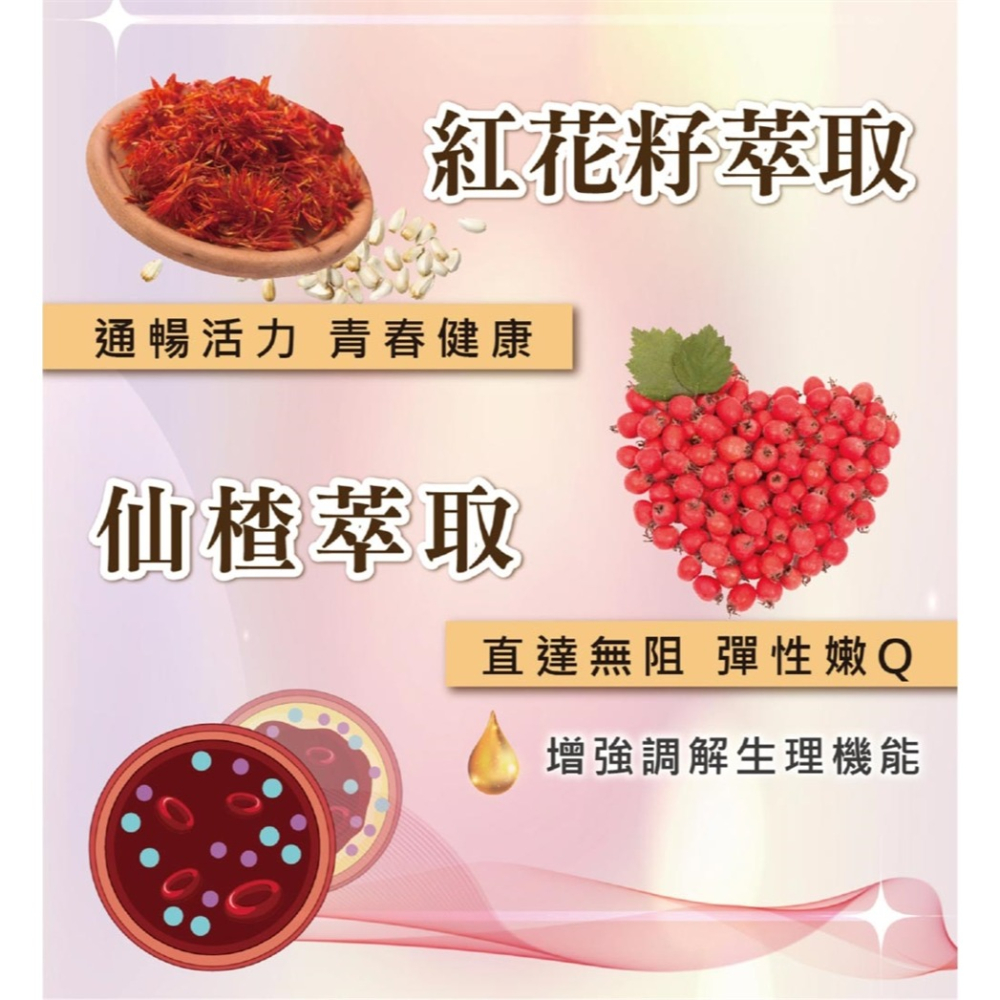 日本原裝 Q10 悠樂康元氣能寶欣 輔酶Q10 保健食品 專利配方-細節圖4