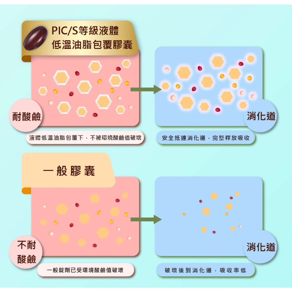 鈣 膠原蛋白 D3 FDA 全清真歐盟認證 悠樂康杏寶關鍵樂 悠樂康 關節軟骨-細節圖6