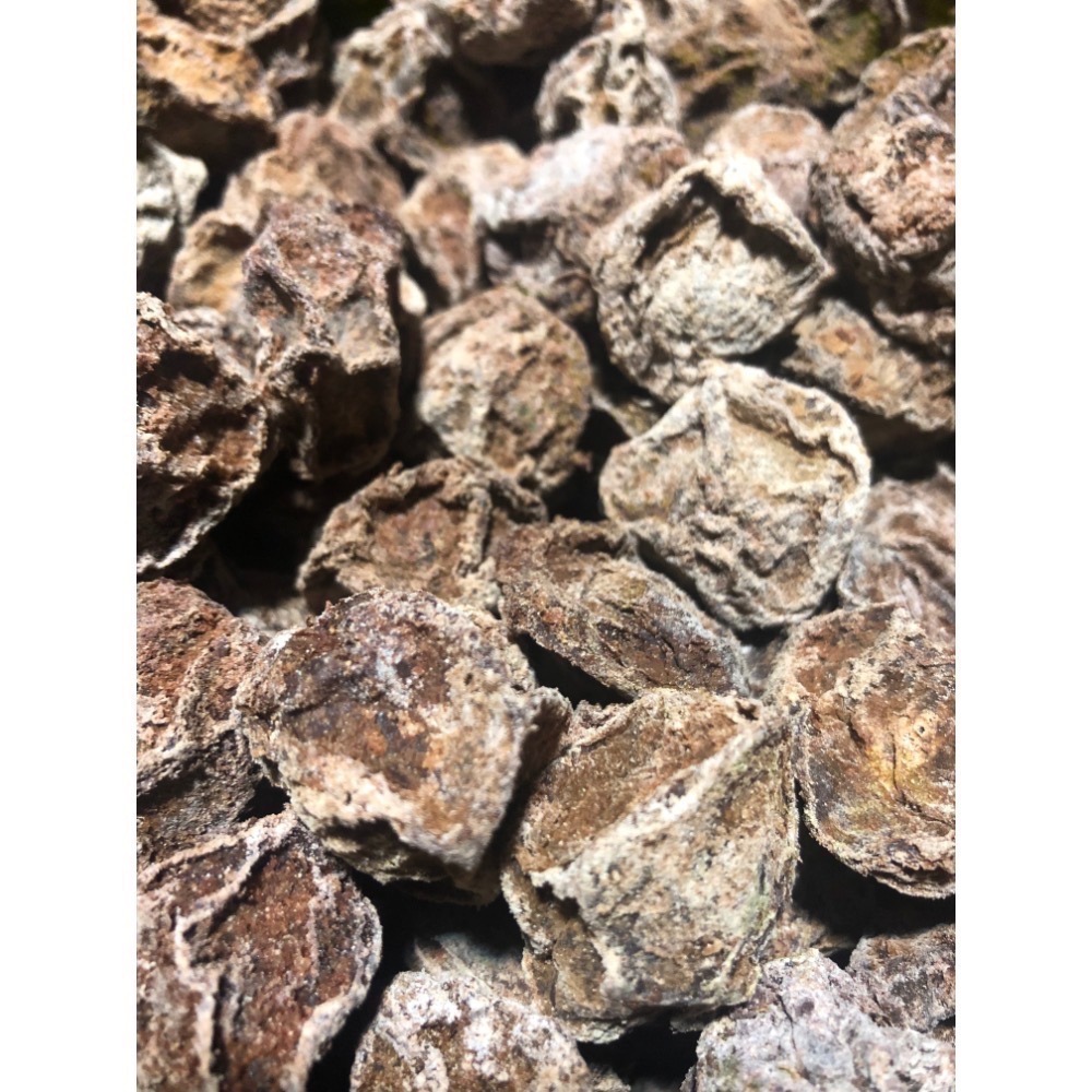 【豐記蜜餞】台南老店🔥買十送一🔥甘宋梅 化核應子 仙李 脆梅 辣芒果 甜菊梅 銷魂梅 芭樂乾 紫蘇梅 零食-規格圖4
