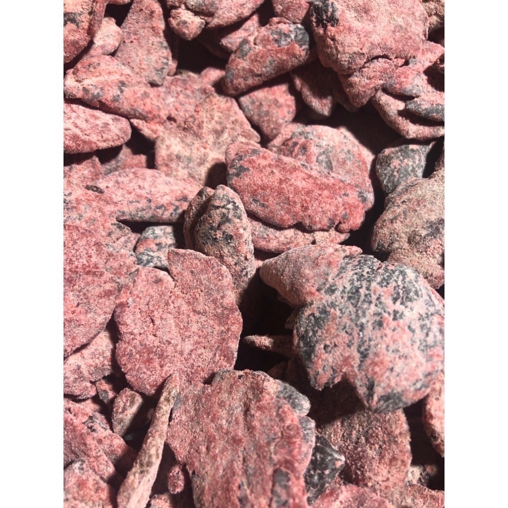 【豐記蜜餞】台南老店🔥買十送一🔥甘宋梅 化核應子 仙李 脆梅 辣芒果 甜菊梅 銷魂梅 芭樂乾 紫蘇梅 零食-規格圖4