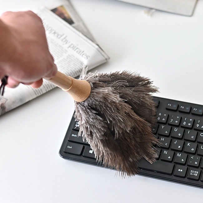 【DULTON】鴕鳥毛撢子 雞毛撢 居家裝飾 居家清潔 日本進口-細節圖3