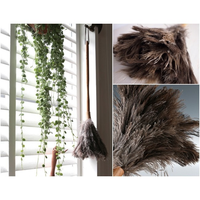 【DULTON】鴕鳥毛撢子 雞毛撢 居家裝飾 居家清潔 日本進口-細節圖5