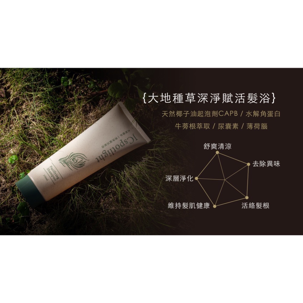 『聚光燈JCspotlight』大地種草套組  洗髮精 護髮霜 頭皮水-細節圖3