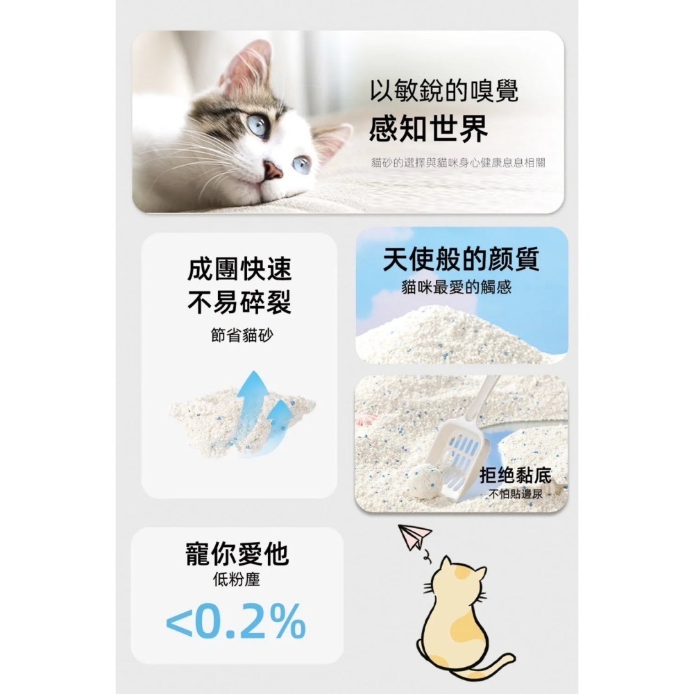 貓砂天使 木薯砂 天然植物貓砂 2.5kg 貓咪天使 貓砂 貓咪 細沙-細節圖2