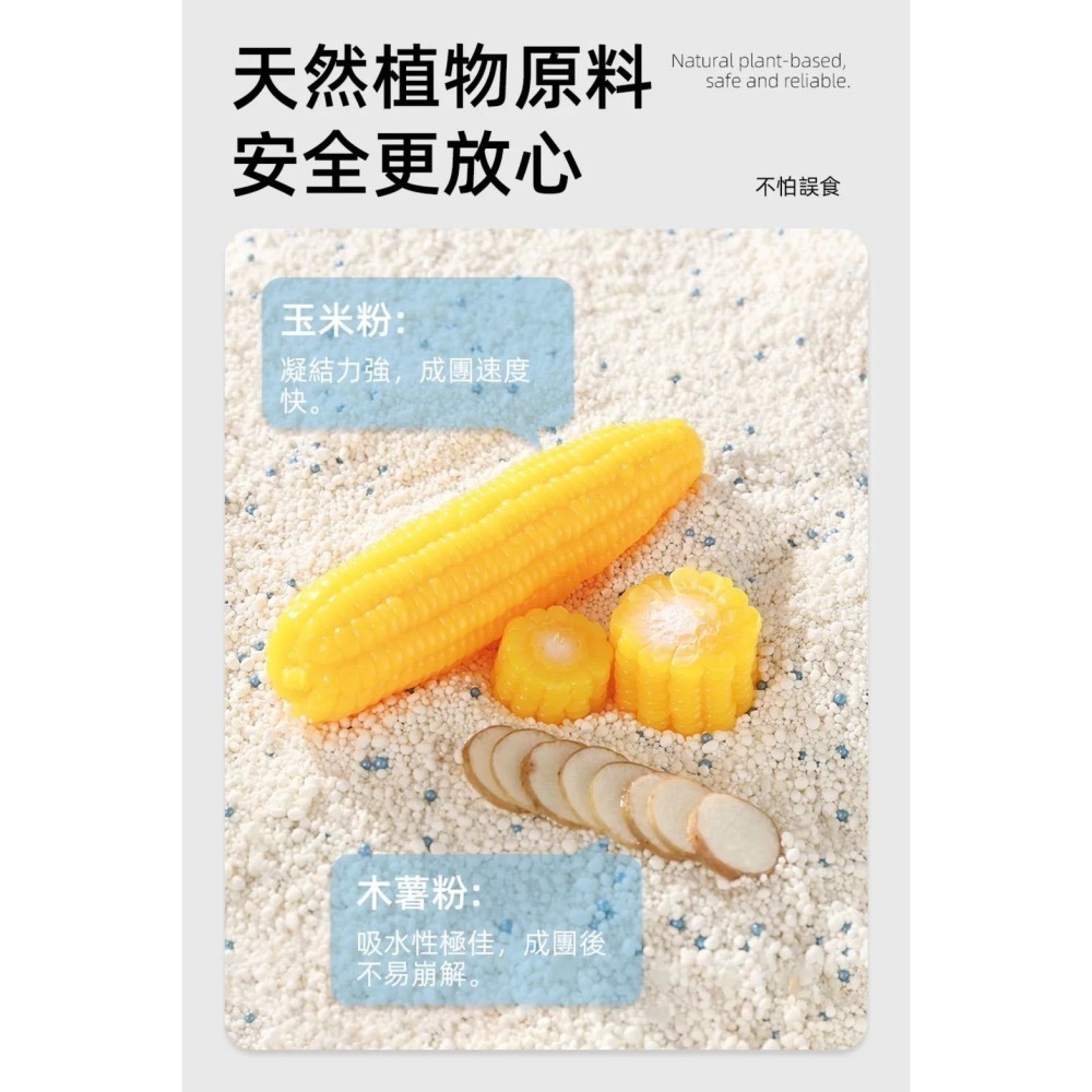 貓砂天使 木薯砂 天然植物貓砂 2.5kg 貓咪天使 貓砂 貓咪 細沙-細節圖3