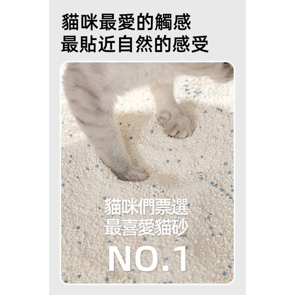貓砂天使 木薯砂 天然植物貓砂 2.5kg 貓咪天使 貓砂 貓咪 細沙-細節圖8