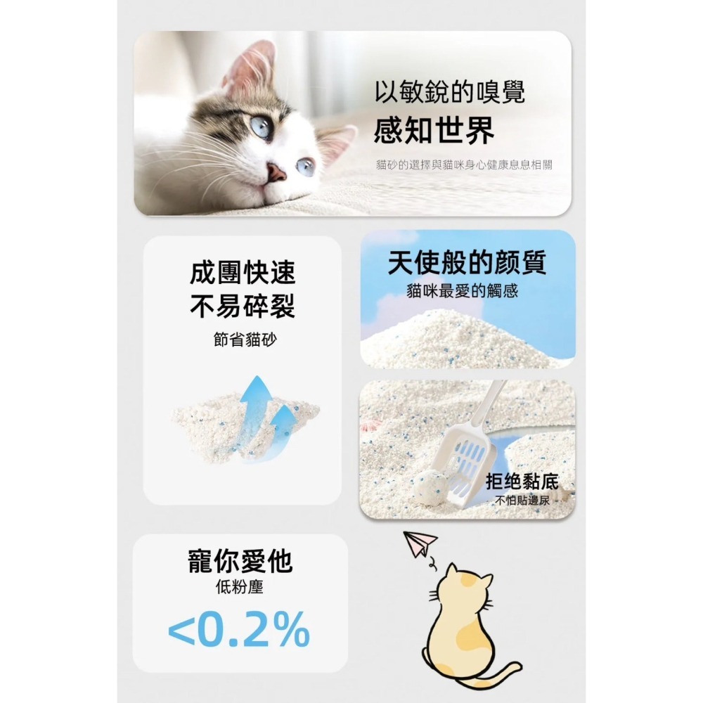 貓砂天使 木薯砂 天然植物貓砂 2.5kg 貓咪天使 貓砂 貓咪 細沙-細節圖2
