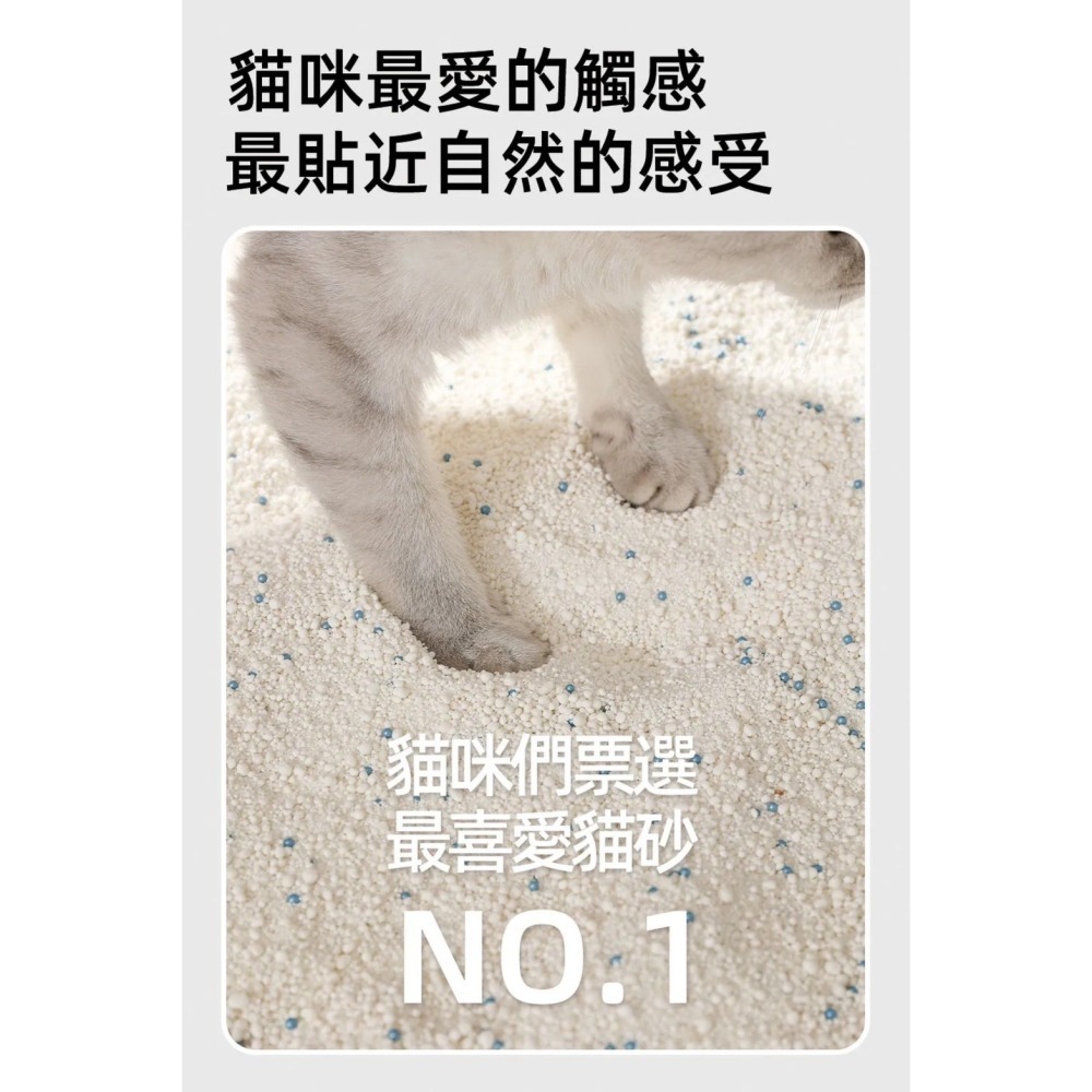 貓砂天使 木薯砂 天然植物貓砂 2.5kg 貓咪天使 貓砂 貓咪 細沙-細節圖8