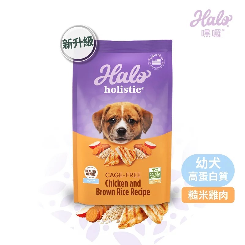幼犬雞肉