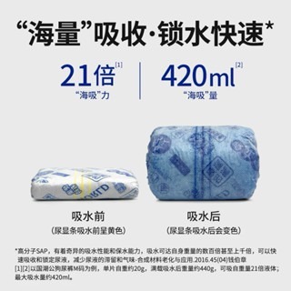 寵物專用禮貌帶 公狗禮貌帶 母狗生理褲 每包10片入 狗狗 尿布 寵物尿布 狗狗紙尿布 公狗 母狗-細節圖4