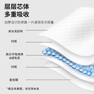 寵物專用禮貌帶 公狗禮貌帶 母狗生理褲 每包10片入 狗狗 尿布 寵物尿布 狗狗紙尿布 公狗 母狗-細節圖6