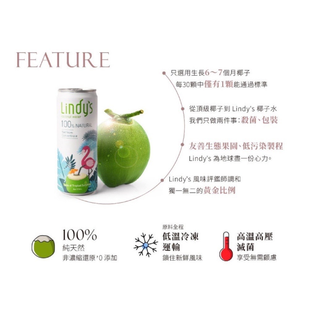 自然思維 Lindy＇s 100%椰子水 超取上限12瓶 夏天必喝 消暑聖品-細節圖5