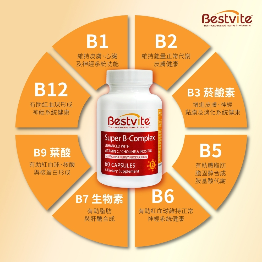 美國 Bestvite 必賜力 超級維他命B群膠囊1瓶 60顆/瓶 強效維他命B群 旺盛精神 現貨供應-細節圖2