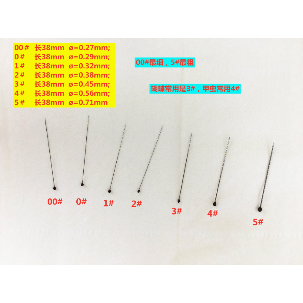 包郵00/0/1/2/3/4/5號昆蟲標本針整姿針展翅不銹鋼針插針製作工具-細節圖4