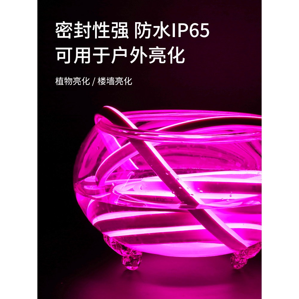 24v伏貨車led燈帶軟燈條長條防水低壓霓虹高亮工程室外柔性線條車用亮化彩色氛圍戶外冷光二十四汽車外墻廣告-細節圖5
