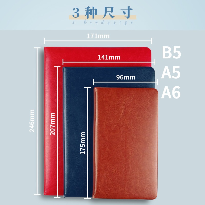 申士記事本商務皮面文具日記本25開筆記本辦公用品B5/A5定製LOGO-細節圖4