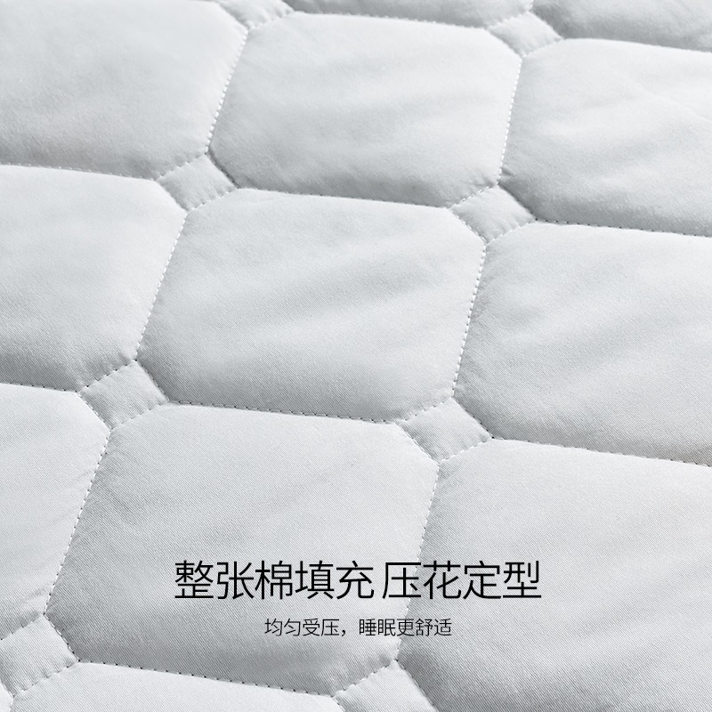 南極人牀墊乳膠軟墊家用加厚宿舍單人學生墊褥榻榻米墊子海綿墊被-細節圖4