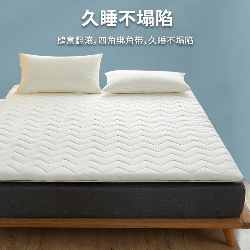 抗菌乳膠牀墊軟墊家用海綿墊榻榻米遮蓋墊被褥子學生宿舍單人專用-細節圖2