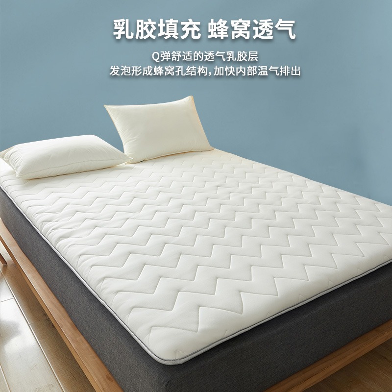 抗菌乳膠牀墊軟墊家用海綿墊榻榻米遮蓋墊被褥子學生宿舍單人專用-細節圖3