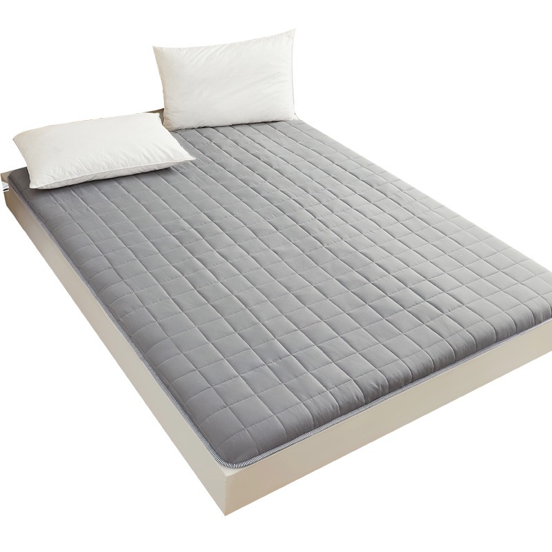 涼席牀墊兩用榻榻米牀墊子學生宿舍單人薄款軟墊租房專用褥子雙人-細節圖2