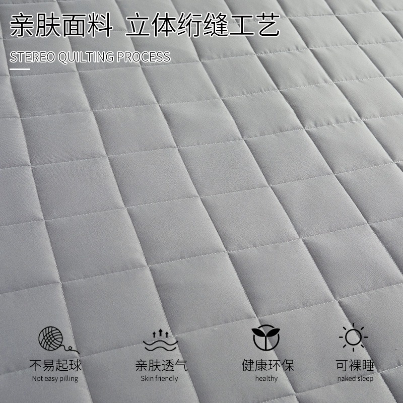 涼席牀墊兩用榻榻米牀墊子學生宿舍單人薄款軟墊租房專用褥子雙人-細節圖5