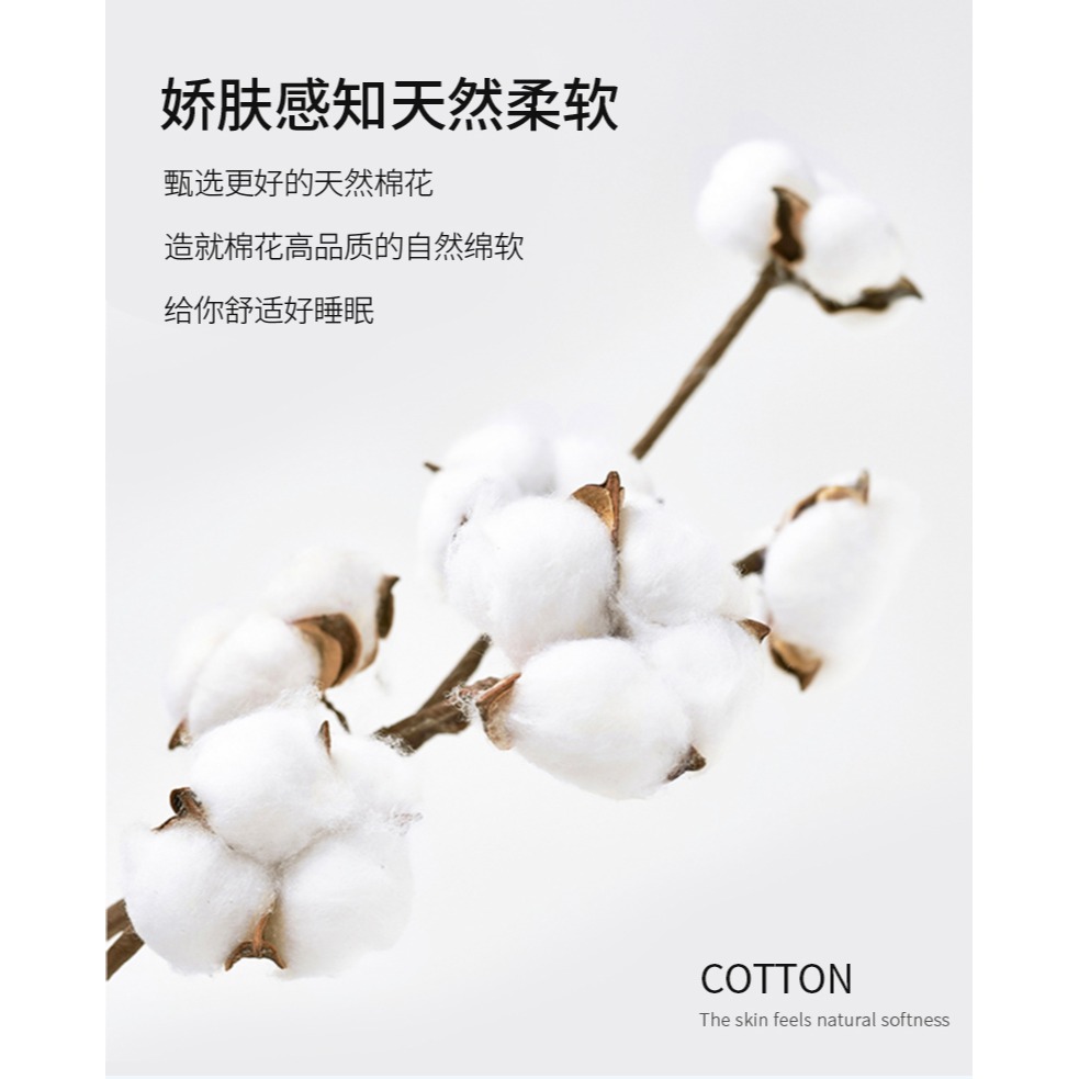 南極人蕎麥枕頭大人枕芯護頸椎助睡眠單雙人枕頭芯一對家用帶枕套-細節圖10