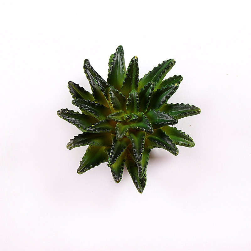 新款仿真多肉植物冰箱貼 磁鐵 立體造型留言條裝飾品-細節圖4