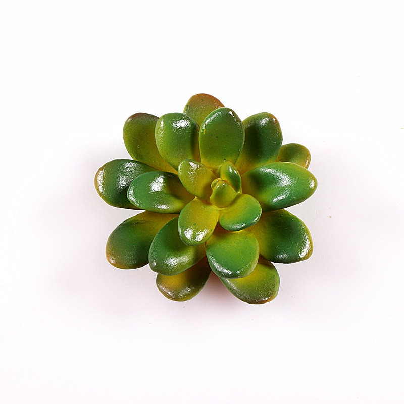 新款仿真多肉植物冰箱貼 磁鐵 立體造型留言條裝飾品-細節圖5